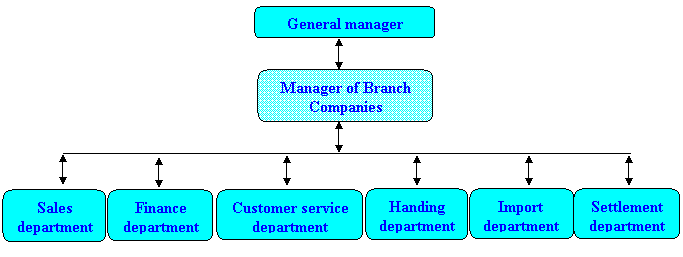 British Airways Organisational Chart